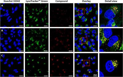 Intriguing Heteroleptic ZnII bis(dipyrrinato) Emitters in the Far-Red Region With Large Pseudo-Stokes Shift for Bioimaging